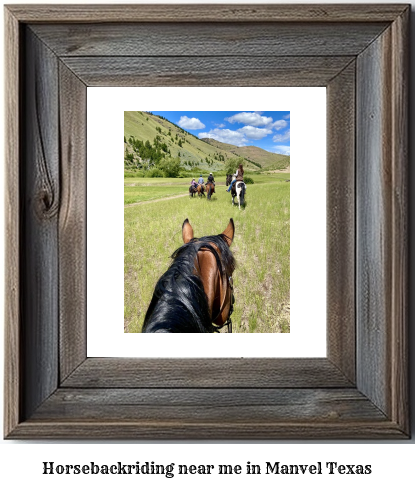 horseback riding near me in Manvel, Texas